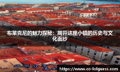 布莱克尼的魅力探秘:揭开这座小镇的历史与文化面纱